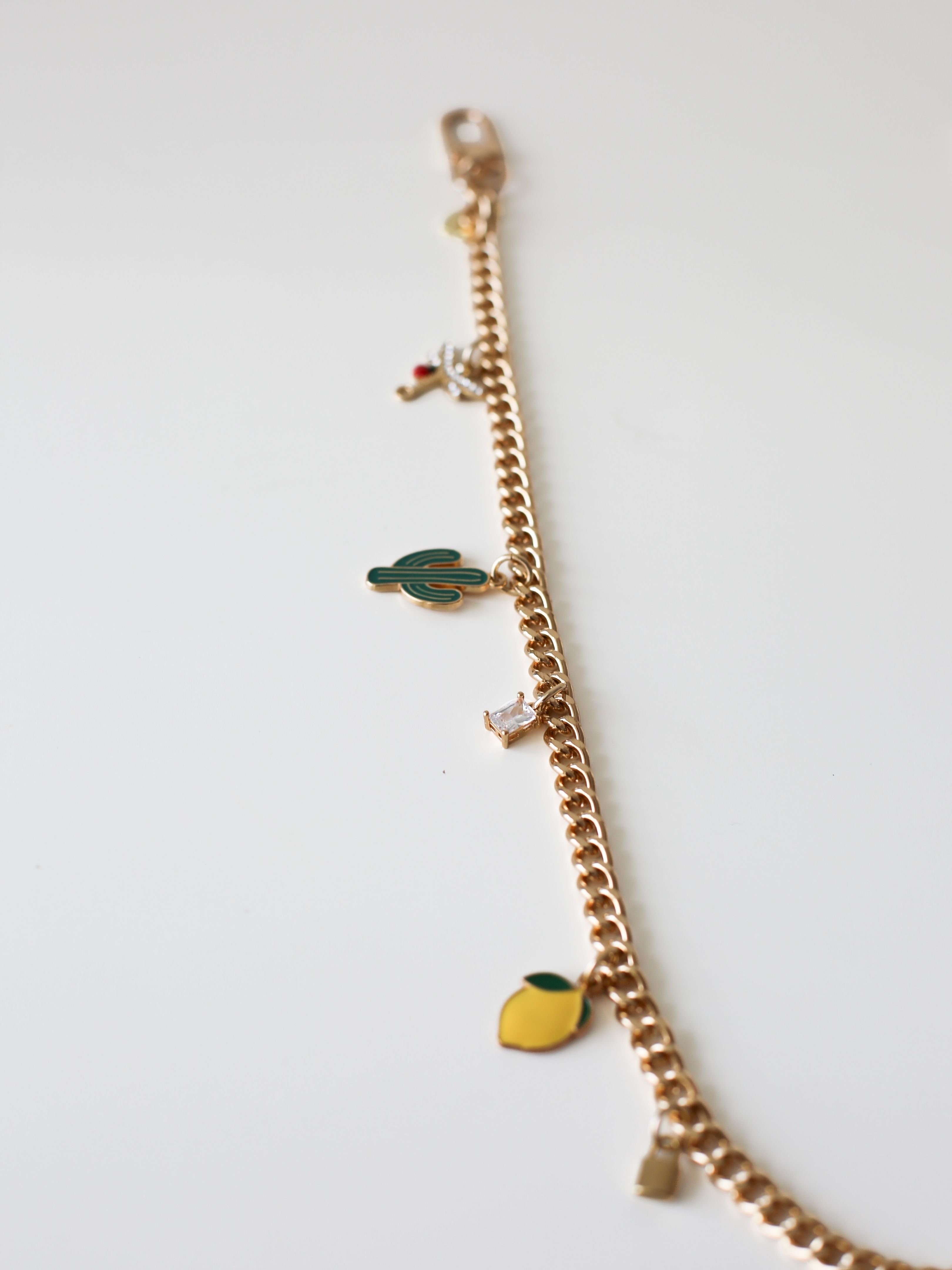 Chain Strap With Charms